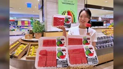 롯데백화점, 12브릭스 고당도 ‘수박도시락’ 판매