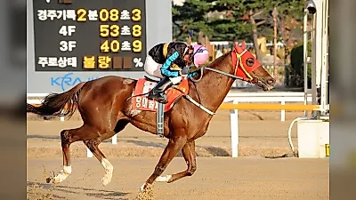 한국경마의 전설 ‘당대불패’...19세 나이로 영원히 잠들다