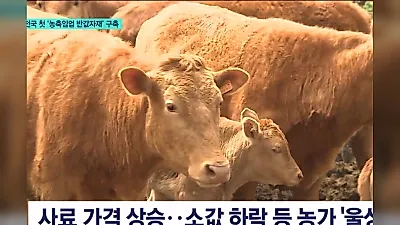 한울농업, 국산 종자 상품화로 매출 1000억 도전