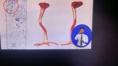양산시립박물관, 아이 30명 함께 웃었다