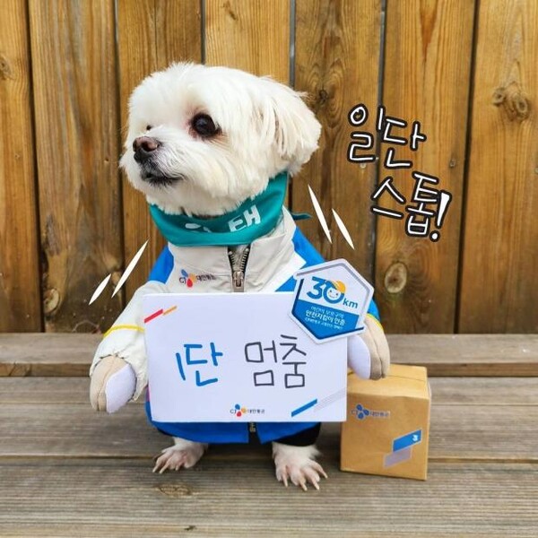 '후원금 먹튀' 경태아부지 인스타 근황 "500만원에 계정 샀다"